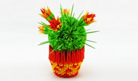 Mocked cactus
